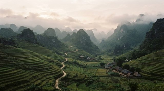 Ảnh minh họa: Hà Giang — lên miền đá nở hoa